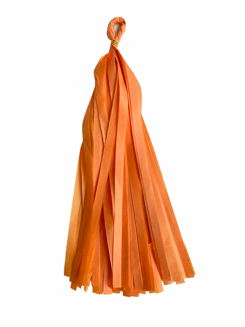 Tissue paper best sale balloon tassels