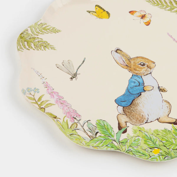 Peter Rabbit Dinner Plates